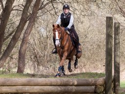 2016 Terrænspring træning